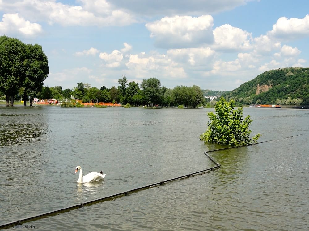 The Rhine was a lot higher than usual.
