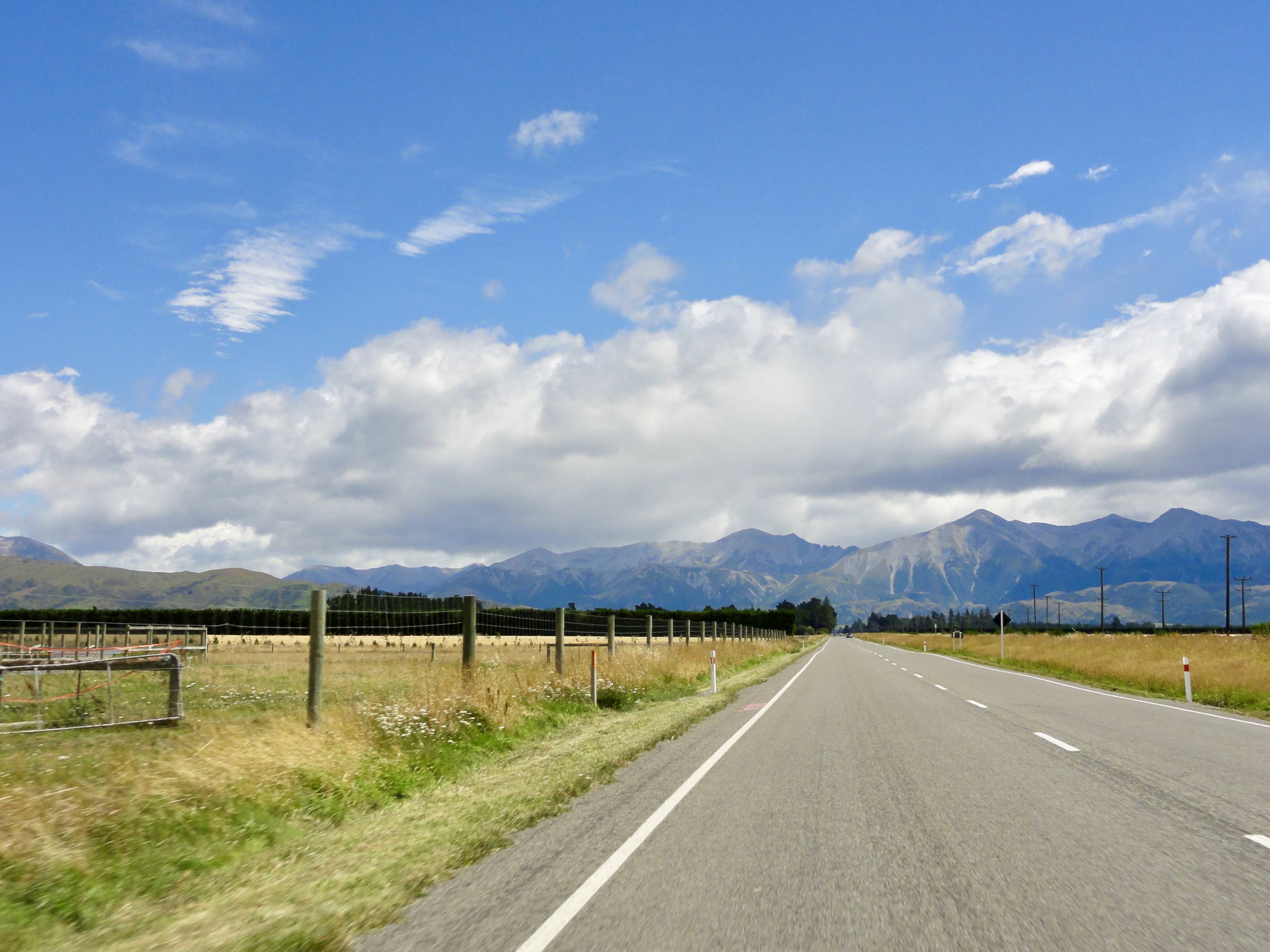 NZ road trip