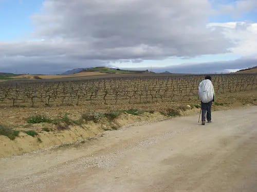 The Camino de Santiago de Compostela — the Camino Francés