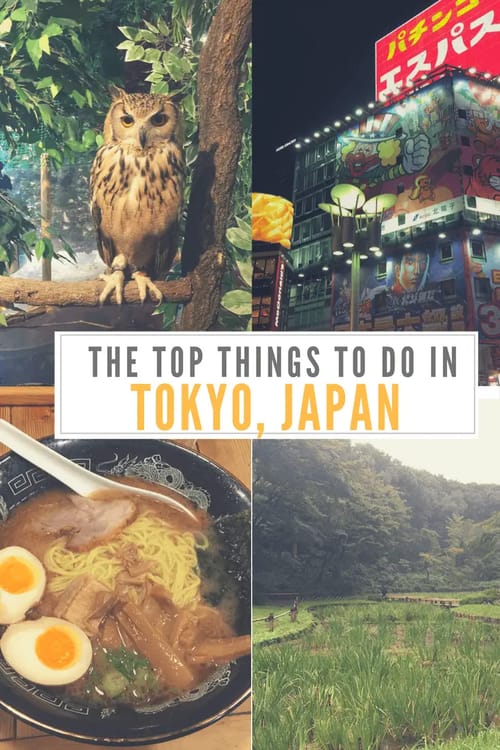 What to do in Tokyo, Japan Pinterest pin
