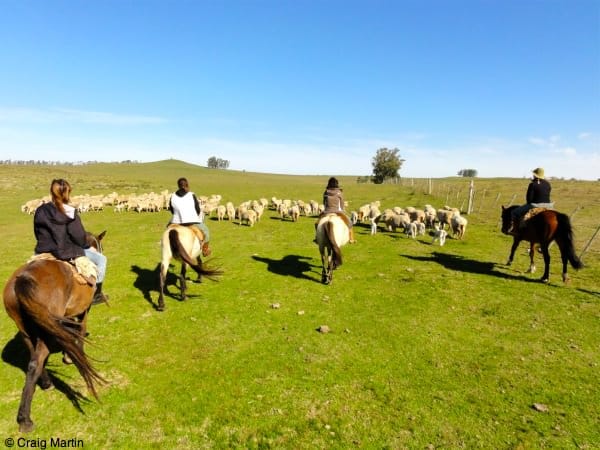 Horseriding at the estancia in Uruguay