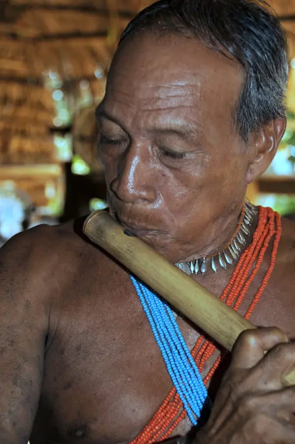 Elder of the Emberá Parara Puru of Panama