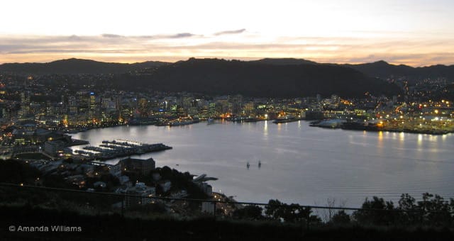 Wellington From Mt Vic at Dusk - new zealand