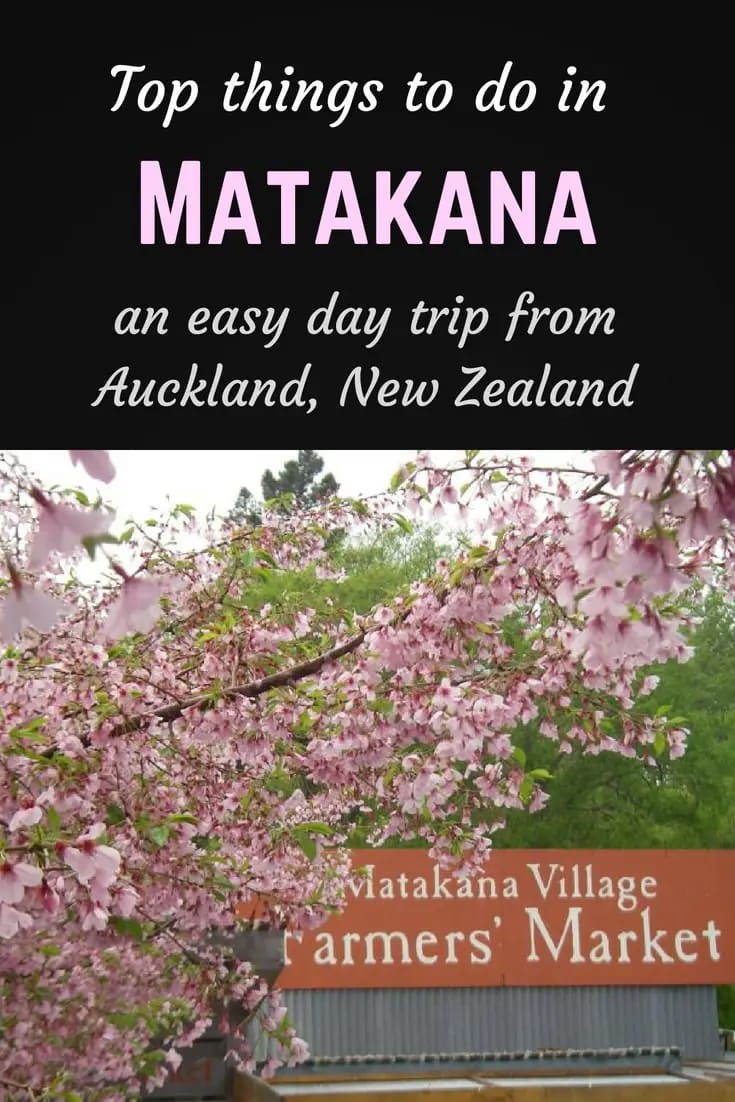 Top things to do in Matakana Pinterest pin