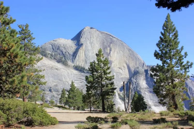 Visit Yosemite National Park