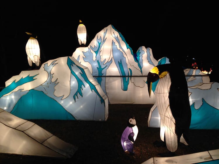Auckland Lantern festival at Chinese New Year