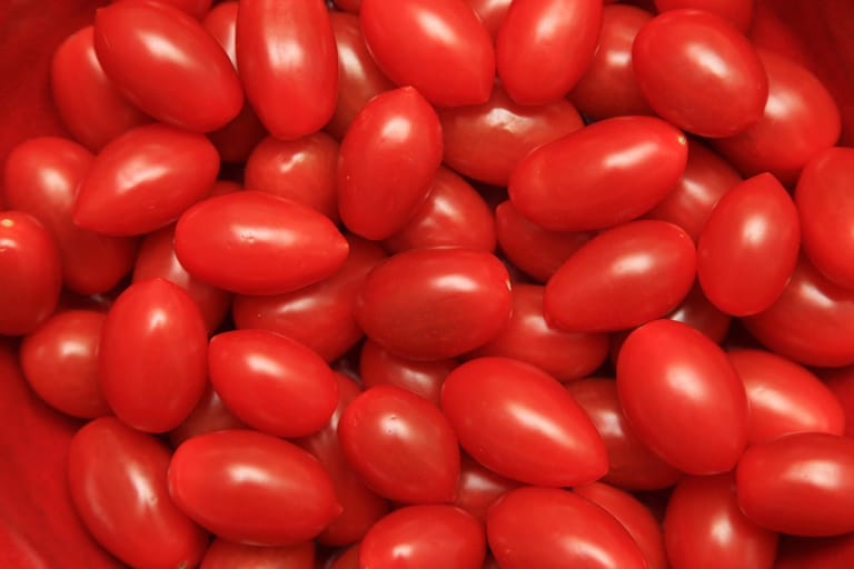 Tomato madness podcast: How to celebrate La Tomatina, Spain