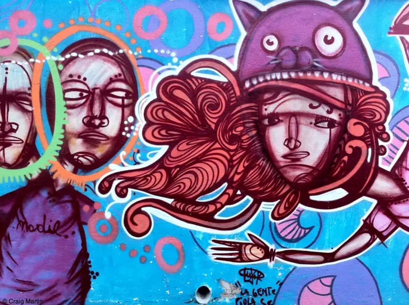 street art detail in la plata argentina