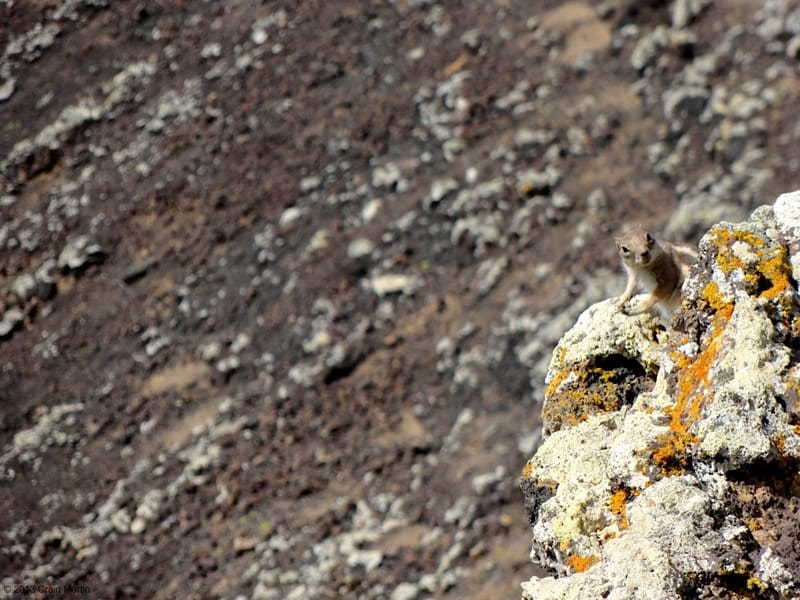 Fuerteventura calderon hondo volcano hike canary islands spain 07