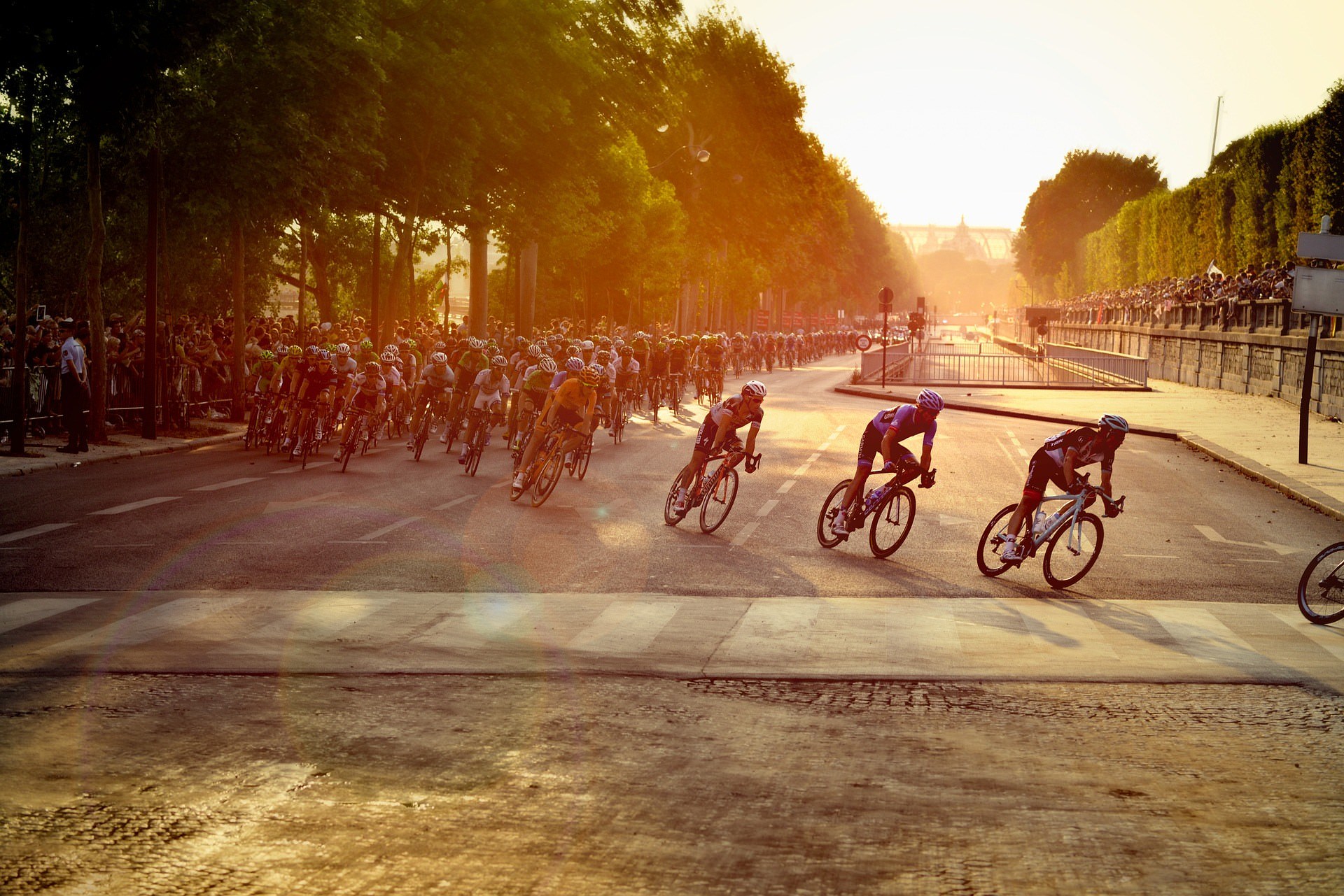 Check out the Tour de France!