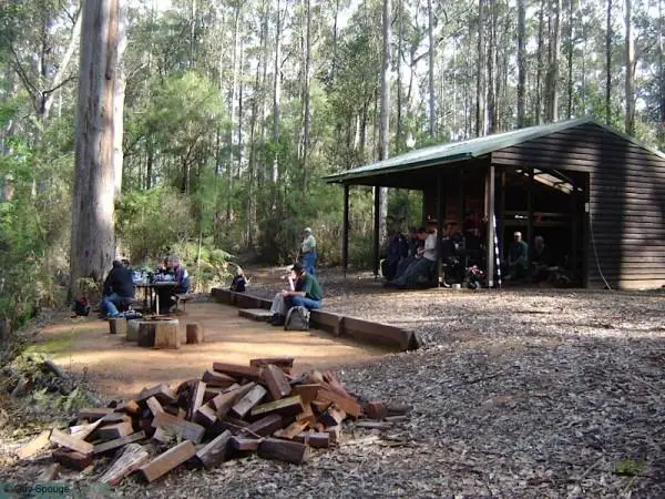 Hikers' camp amongst the gums.