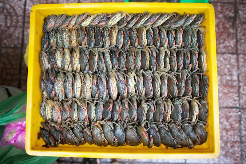 Fish at the Bến Thành Market.