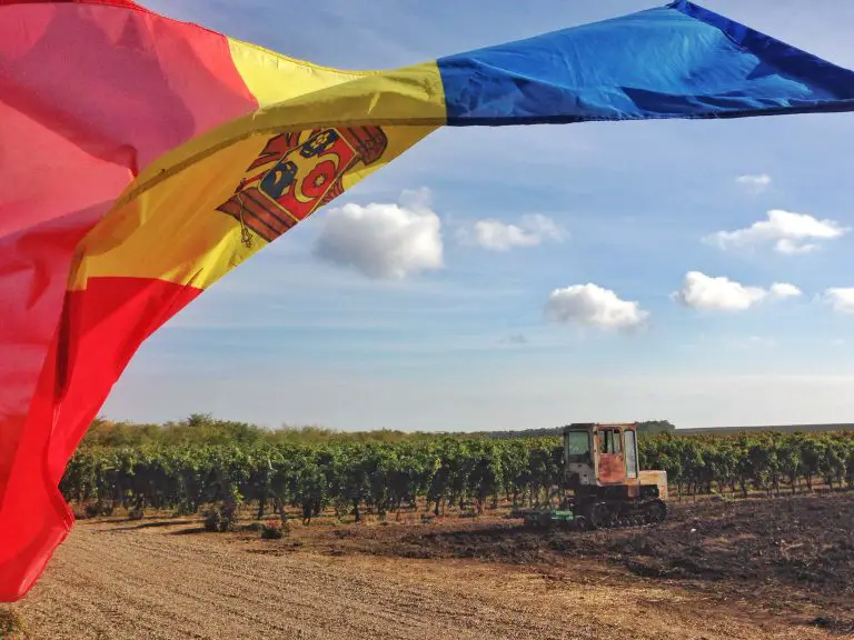 The Moldovan flag flies over the Et Cetera vineyard.