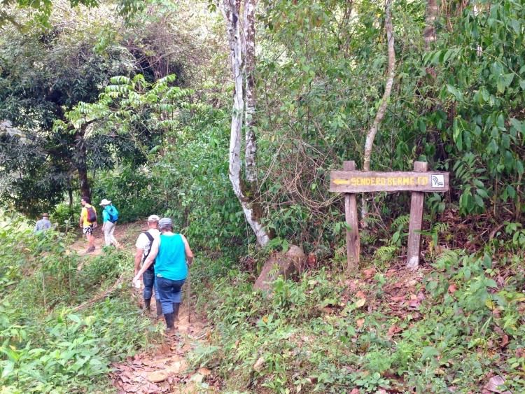 Group hiking in Panama