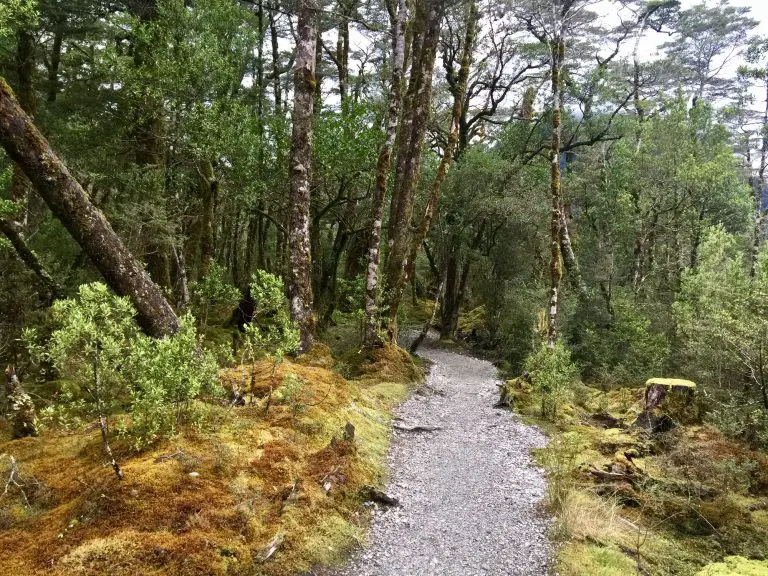 How to walk the Milford Track podcast