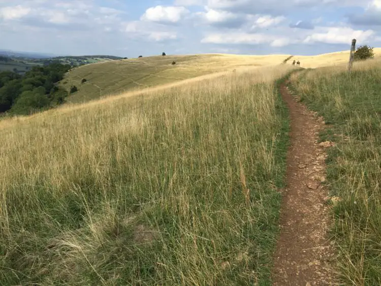 Rolling hills on the Cotswold Way.