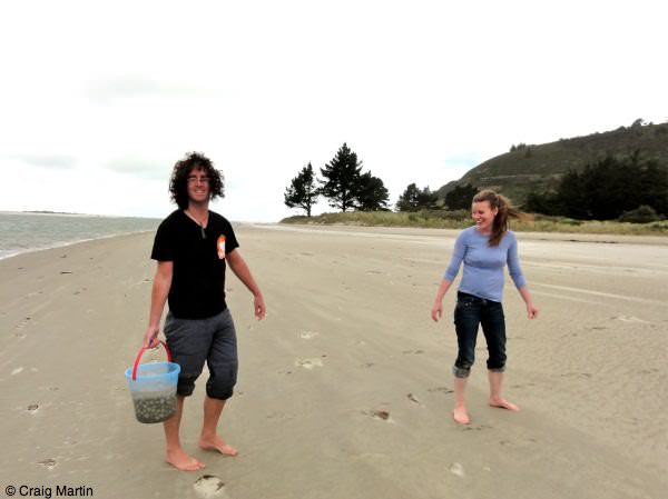 Cockle collecting in Dunedin