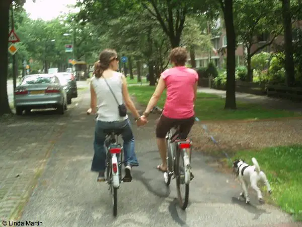 Dutch couple holding hands on bike